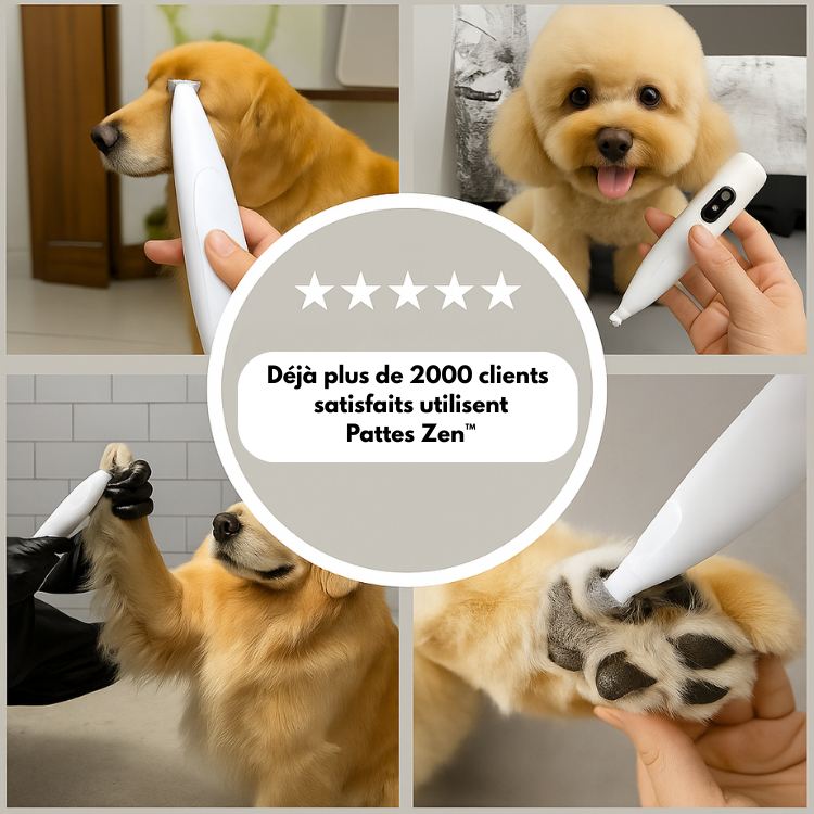 🐾 Pattes Zen™ – Tondeuse Silencieuse Multi-Usages pour Chien & Chat