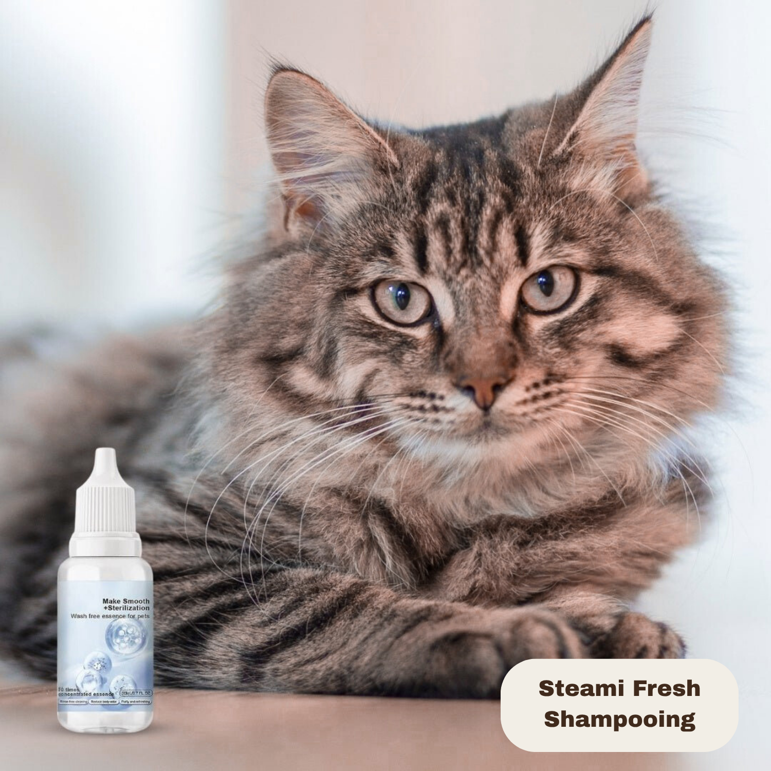 Steami Fresh Shampooing rafraîchissant