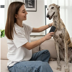 Brosse Anti-Mue – Toilettage facile pour chiens & chats