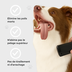 Brosse Anti-Mue – Toilettage facile pour chiens & chats