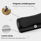 Brosse Anti-Mue – Toilettage facile pour chiens & chats
