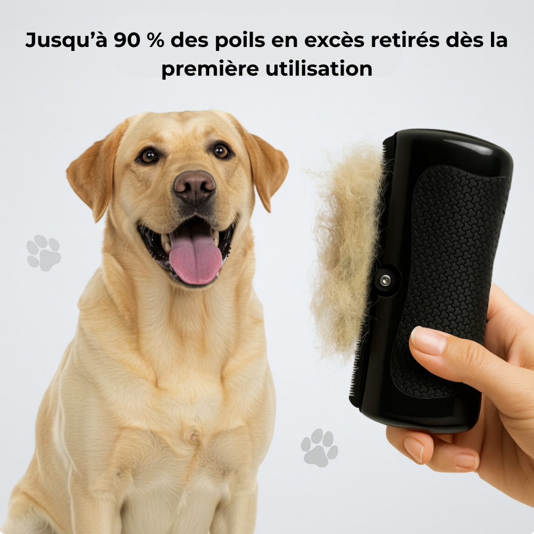 Brosse Anti-Mue – Toilettage facile pour chiens & chats