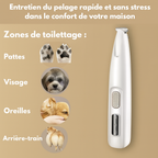 Pattes Zen™ – Tondeuse pour Chien et Chat