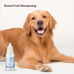 Steami Fresh Shampooing rafraîchissant