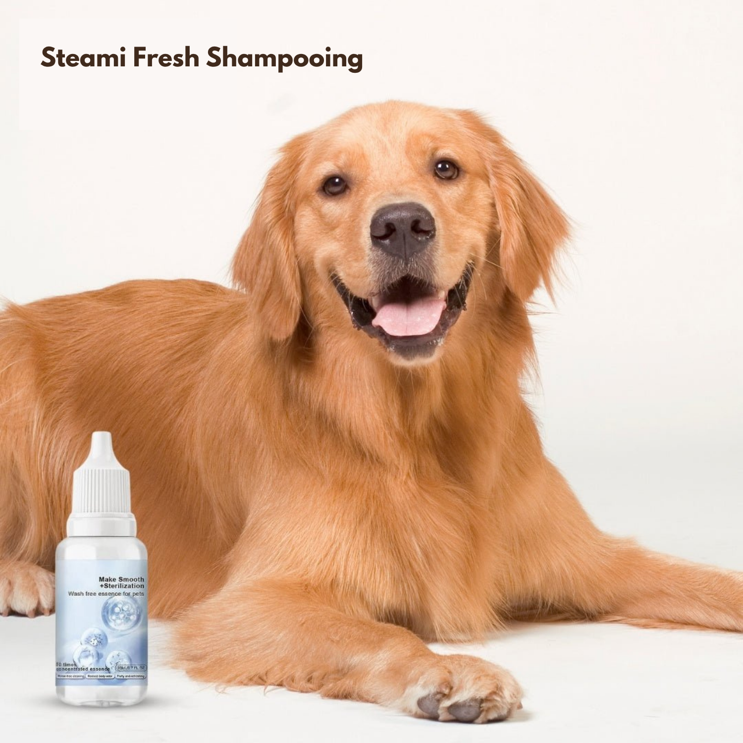 Steami Fresh Shampooing rafraîchissant